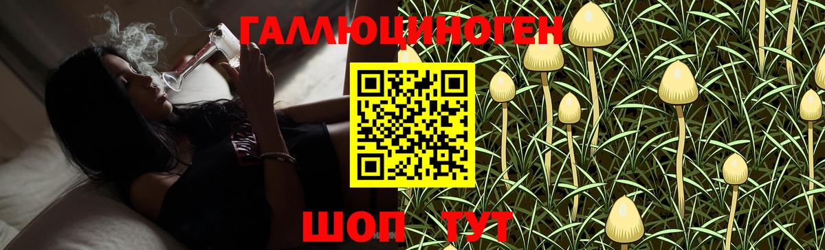 Псилоцибиновые грибы Psilocybe  Вход с VPN  Кострома 