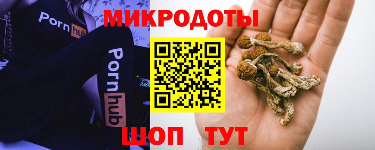 Псилоцибиновые грибы Psilocybine cubensis Кострома
