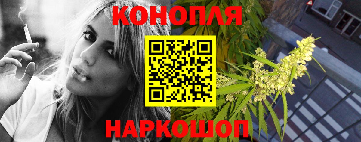 Бошки Шишки семена  Вход с VPN  Бошки Шишки планчик  Конопля AK-47  Марихуана OG Kush  Кострома 
